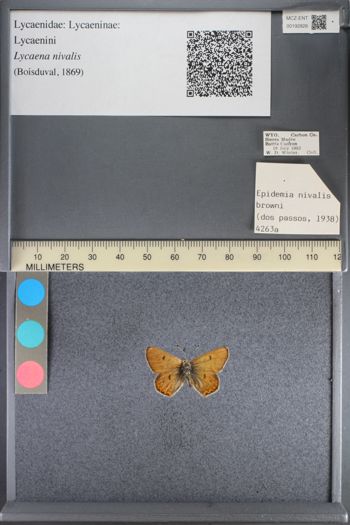 Media type: image;   Entomology 192826